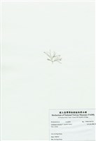 藏品(匍匐擬石花)的圖片